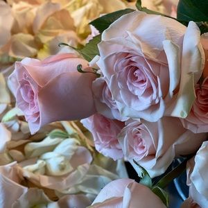 Meet your Posher, Maryam